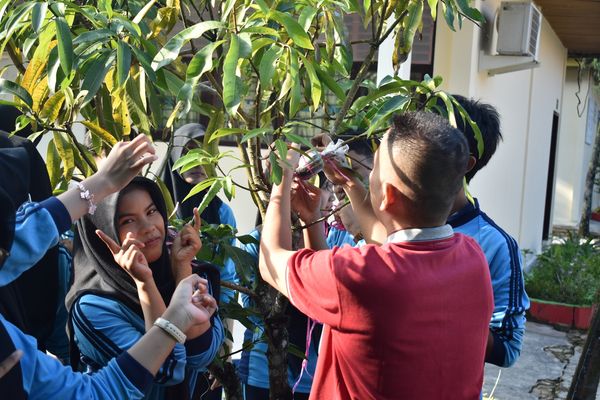 Kamis Hijau: Kegiatan Adiwiyata Mencangkok Tanaman di Lingkungan SMKN 6 Pekanbaru
